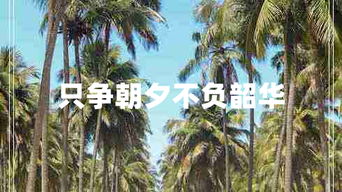 只爭(zhēng)朝夕不負(fù)韶華 只爭(zhēng)朝夕不負(fù)韶華