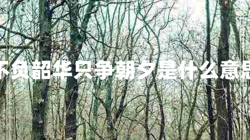 不負(fù)韶華只爭朝夕是什么意思 不負(fù)韶華只爭朝夕是什么意思