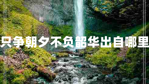 只爭朝夕不負(fù)韶華出自哪里