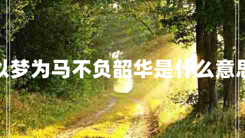 以夢(mèng)為馬不負(fù)韶華是什么意思