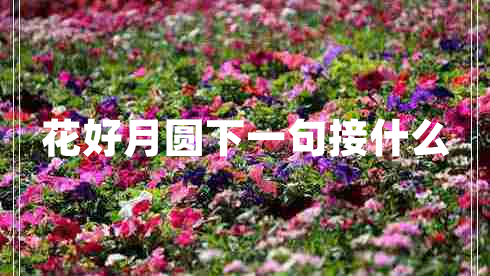 花好月圓下一句接什么