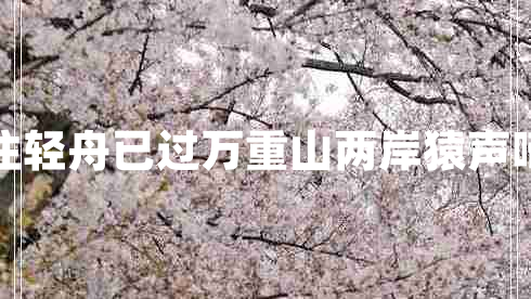 兩岸猿聲啼不住輕舟已過萬重山兩岸猿聲啼不住的下一句 兩岸猿聲啼不住輕舟已過萬重山兩岸猿聲啼不住的下一句