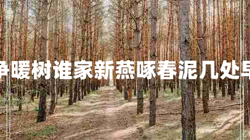 幾處早鶯爭暖樹誰家新燕啄春泥幾處早鶯爭暖樹 幾處早鶯爭暖樹誰家新燕啄春泥幾處早鶯爭暖樹