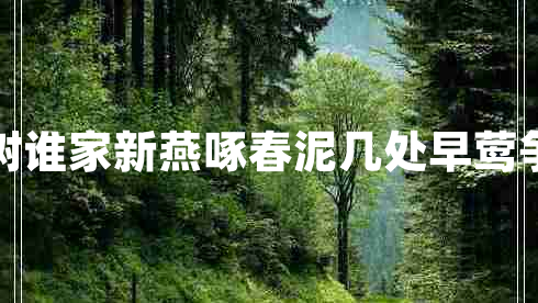 幾處早鶯爭(zhēng)暖樹誰家新燕啄春泥幾處早鶯爭(zhēng)暖樹的下一句