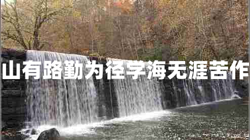 書山有路勤為徑學海無涯苦作舟