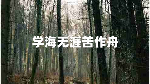 學(xué)海無涯苦作舟 學(xué)海無涯苦作舟