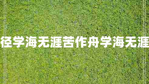 書山有路勤為徑學海無涯苦作舟學海無涯苦作舟的意思