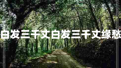 秋浦歌白發(fā)三千丈白發(fā)三千丈緣愁似個長