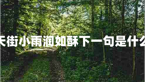 天街小雨潤(rùn)如酥下一句是什么