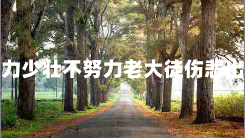 少壯不努力少壯不努力老大徒傷悲出自哪首詩