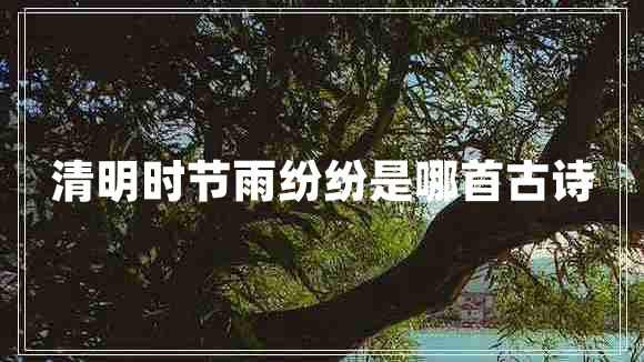 清明時節(jié)雨紛紛是哪首古詩