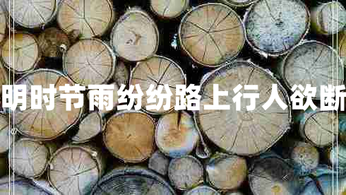 清明時(shí)節(jié)雨紛紛路上行人欲斷魂
