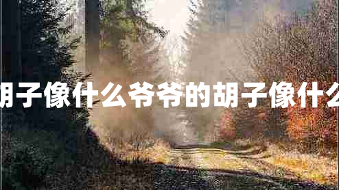 胡子像什么爺爺?shù)暮酉袷裁? title=