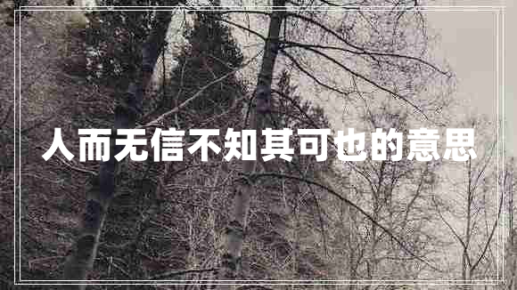 人而無(wú)信不知其可也的意思