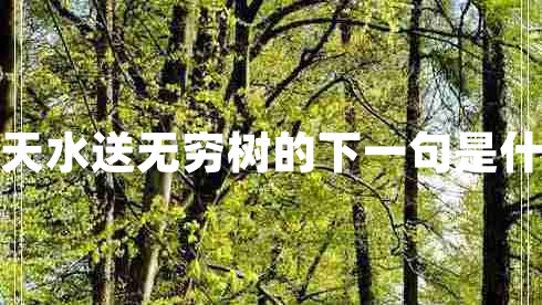 浮天水送無窮樹的下一句是什么