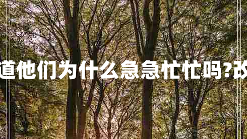 你不知道他們?yōu)槭裁醇奔泵γ?改陳述句