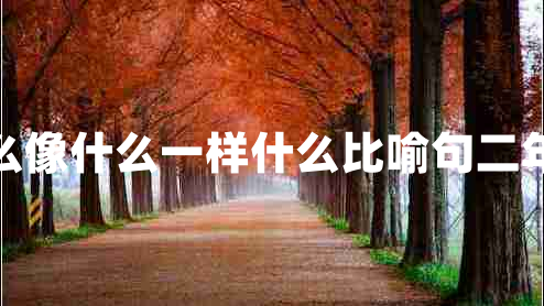 什么像什么一樣什么比喻句二年級(jí)