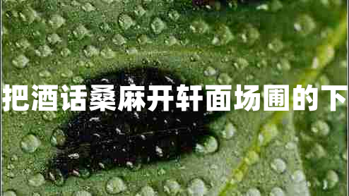 開軒面場圃把酒話桑麻開軒面場圃的下一句是什么 開軒面場圃把酒話桑麻開軒面場圃的下一句是什么