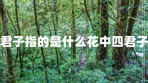 花中四君子指的是什么花中四君子是什么 花中四君子指的是什么花中四君子是什么