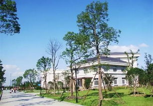 描寫蛟川書院校園風(fēng)光的作文