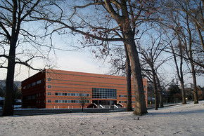 校園景色的作文二級