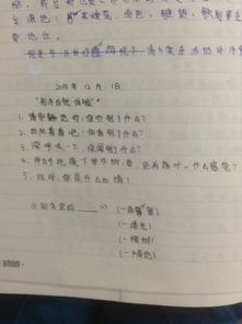 作文,初冬,寫一篇,校園