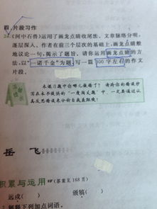 校園里的橡皮樹300字作文