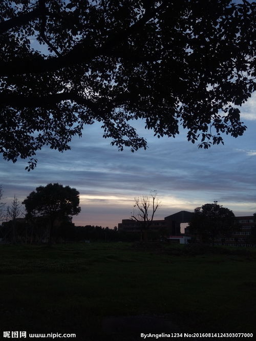 校園夜幕降臨的作文