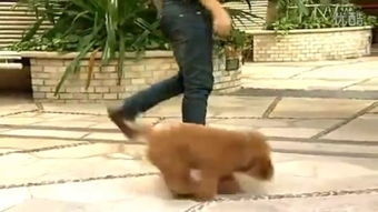 校園打架斗毆的作文