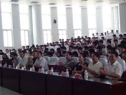 平安,作文,共建,遵紀(jì)守法