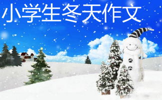 冬天,作文,校園里