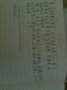 作文,開頭,我家,高中