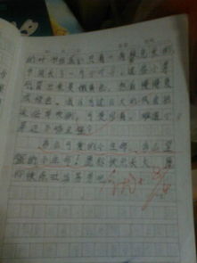 小學(xué)三級作文寫我的校園