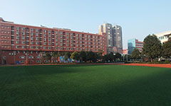 描寫小學(xué)校園的作文250字