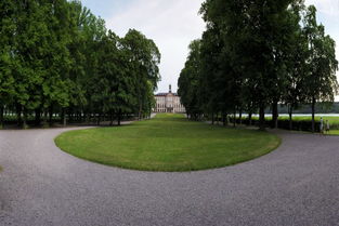 校園的早晨寫篇作文三級(jí)作文100字