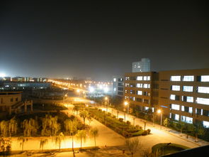 作文校園的夜景