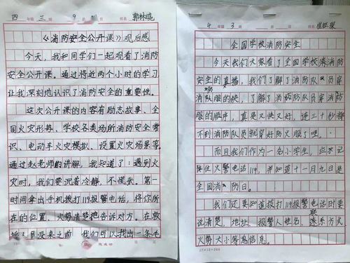 安全進(jìn)校園知識(shí)作文