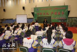 我的校園中營小學(xué)作文