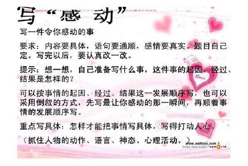 校園的那些令人感動的事作文