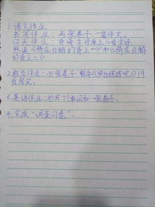 作文,國慶節(jié),小學(xué),校園