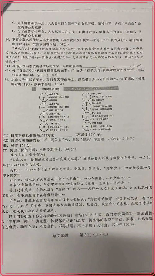 作文,暢游,校園