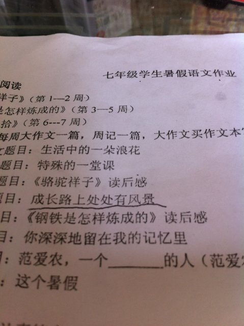 校園處處有美景作文800字作文