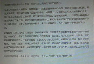 難忘的校園美食節(jié)作文600字