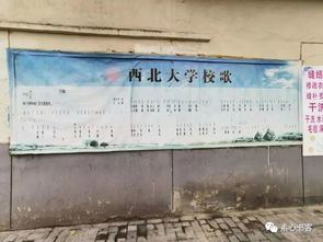 作文,最美,心中,校園