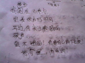 以月亮校園歌聲寫(xiě)一篇作文