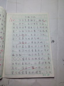 校園最難忘的一件事作文450字,校園最難忘的一件事作文500字,校園最難忘的一件事作文600字六年級