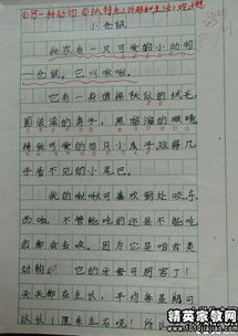 觀察校園作文的四百