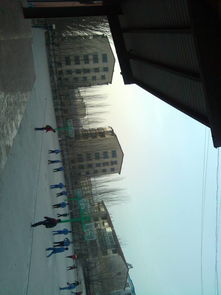 校園的一角作文400字左右,校園的一角作文400字五年級(jí),關(guān)于校園的一角的作文400字以上