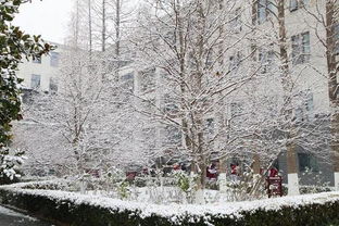 校園里的冬景這篇作文六百字