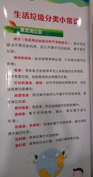 作文,更美,垃圾,校園